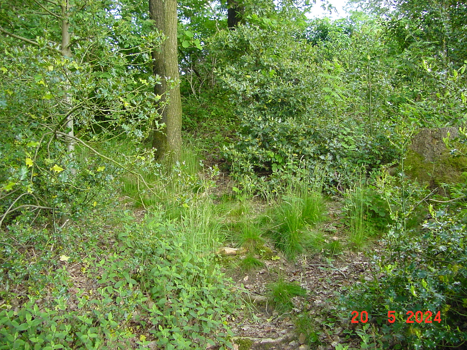 DSC00076.JPG