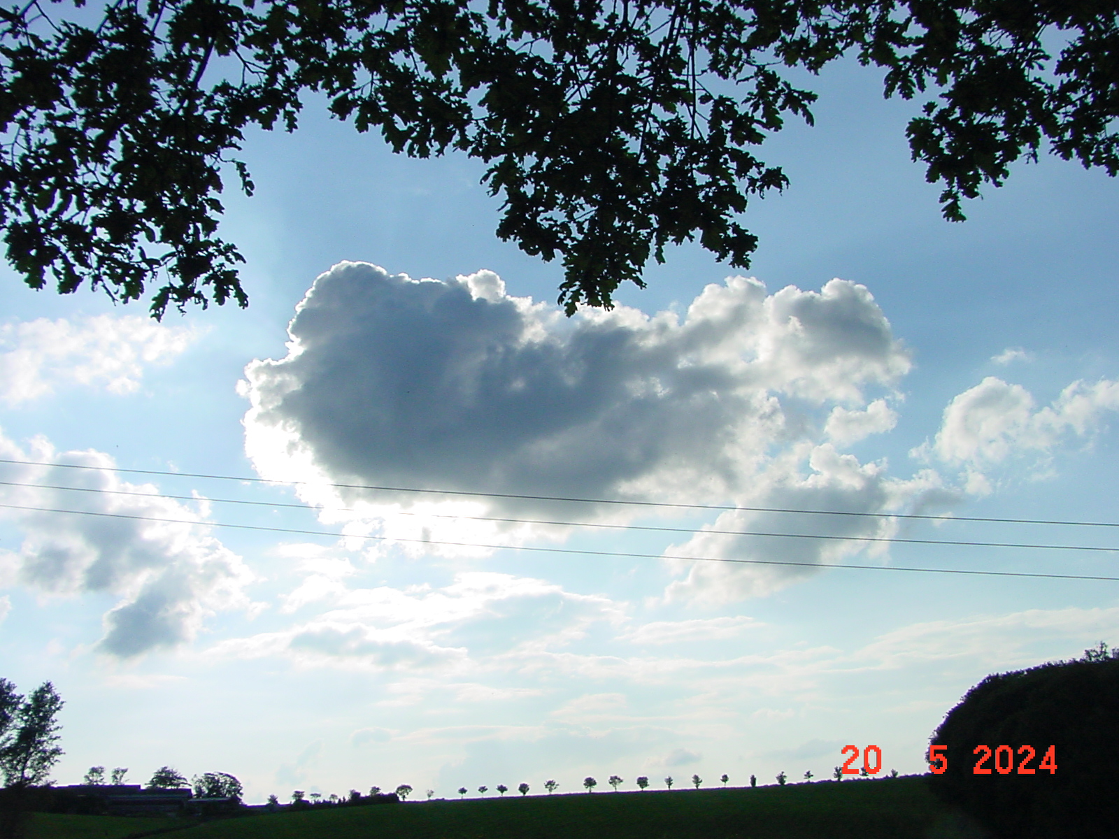 DSC00075.JPG