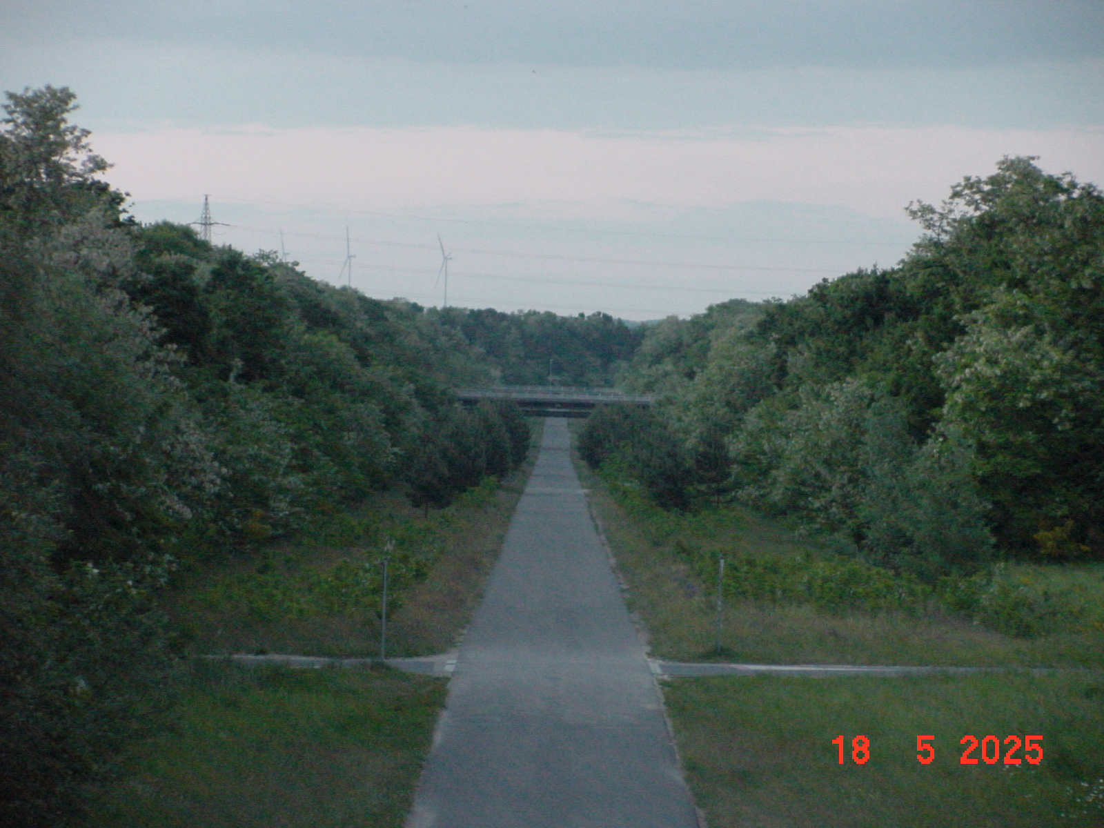 DSC00337.JPG
