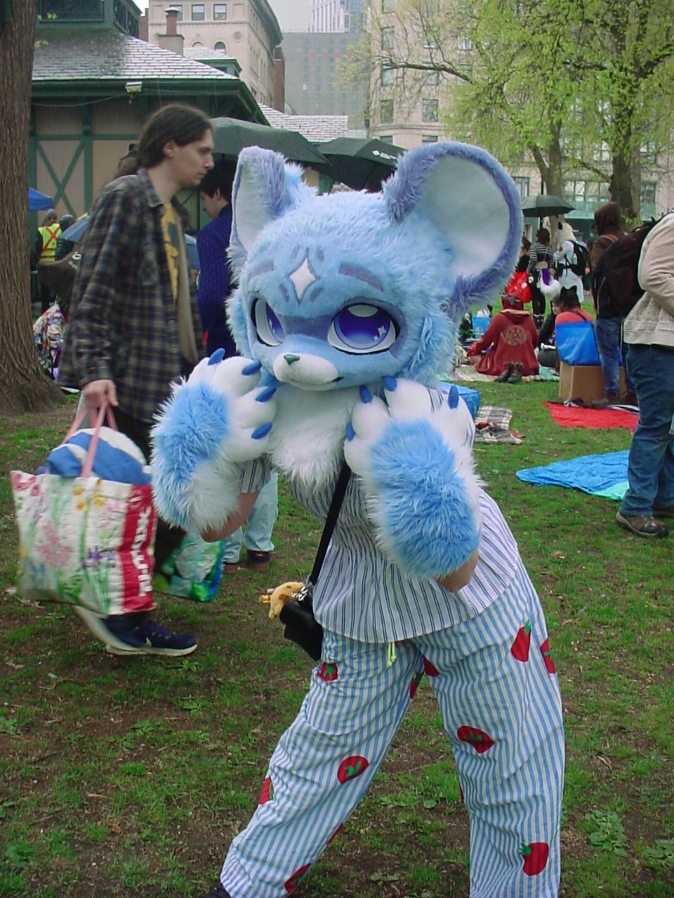 DSC00011.JPG