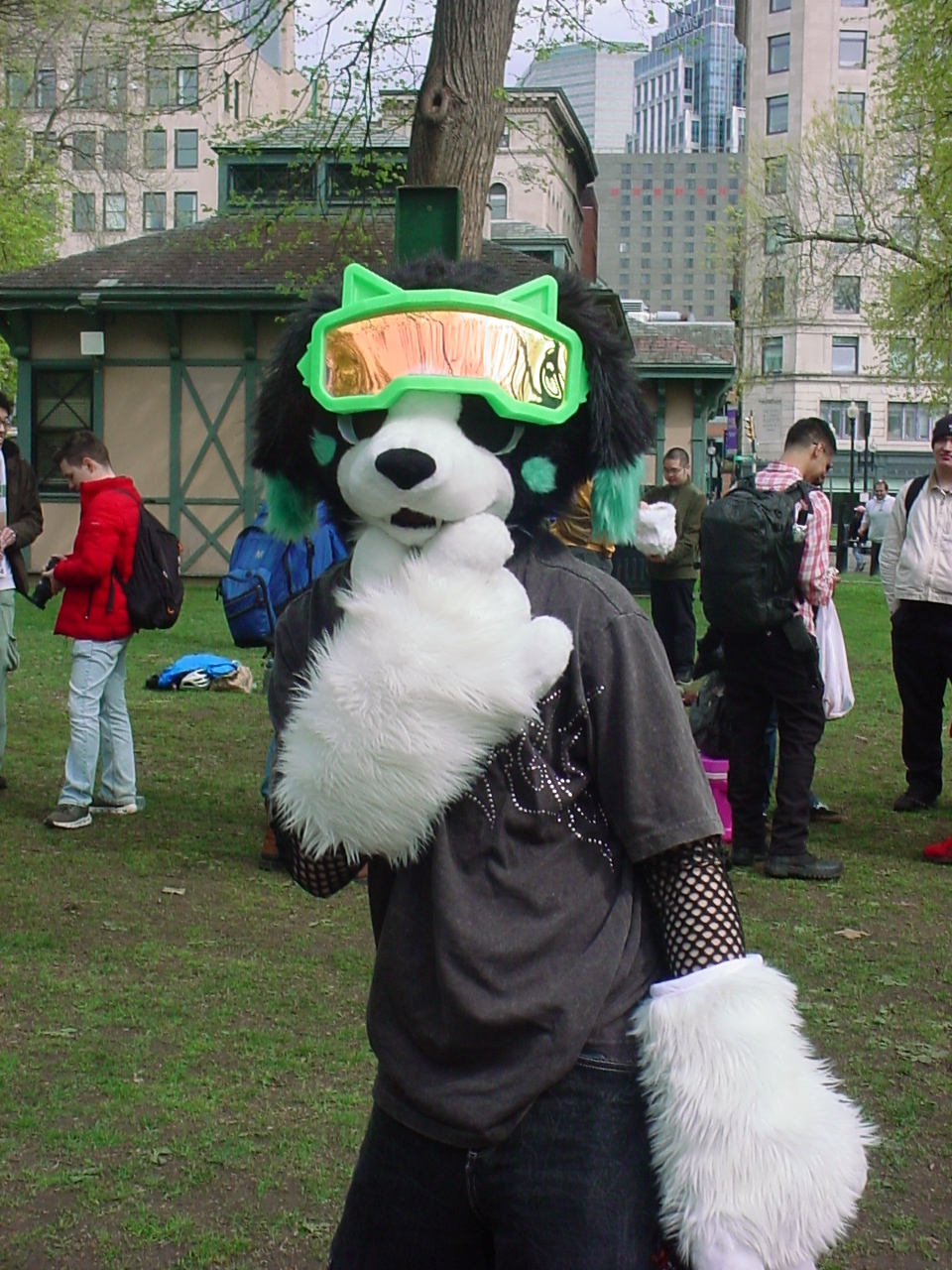 DSC00029.JPG
