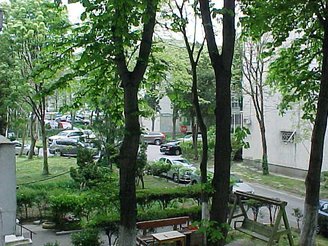 MVC-002S.JPG