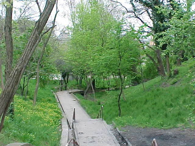 MVC-008S.JPG