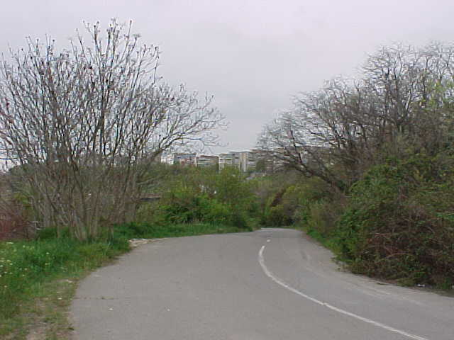 MVC-014S.JPG