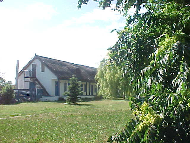 MVC-003S_1783713470783.JPG