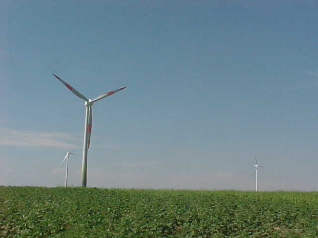 MVC-005S.JPG