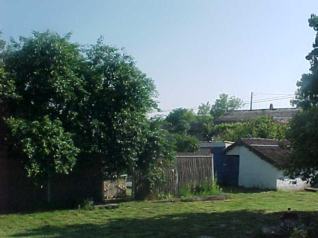 MVC-004S_1780670518982.JPG