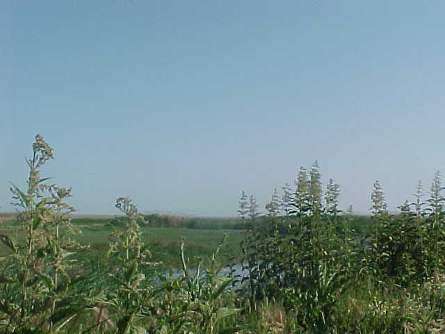 MVC-020S_1780670518995.JPG
