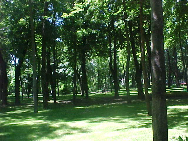 Mvc-036s_1781526303545.jpg