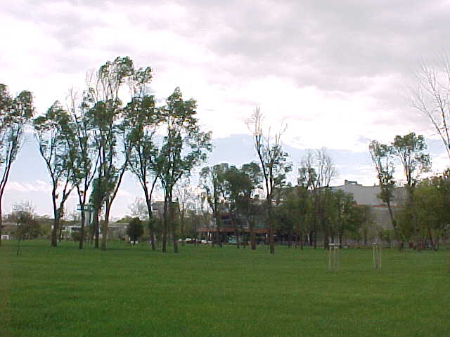 MVC-006S.JPG