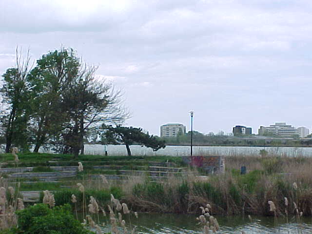 MVC-008S.JPG