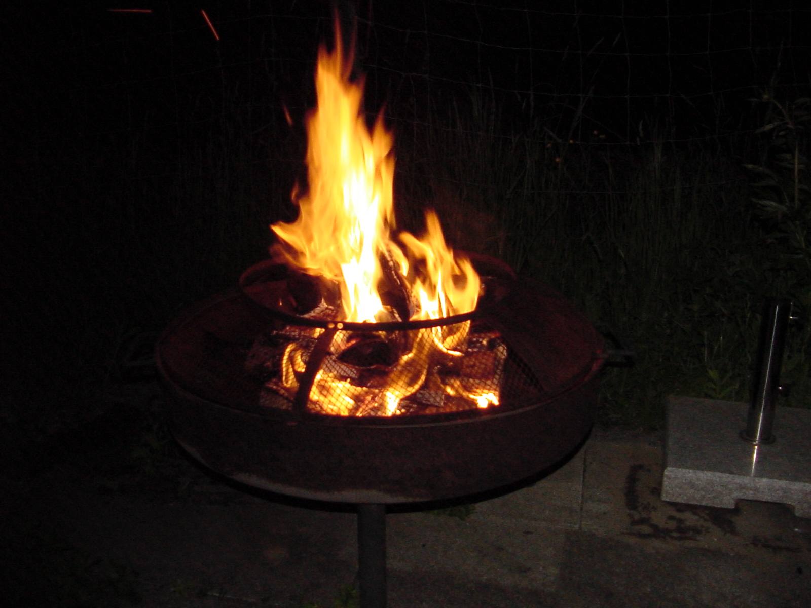 DSC00520.JPG