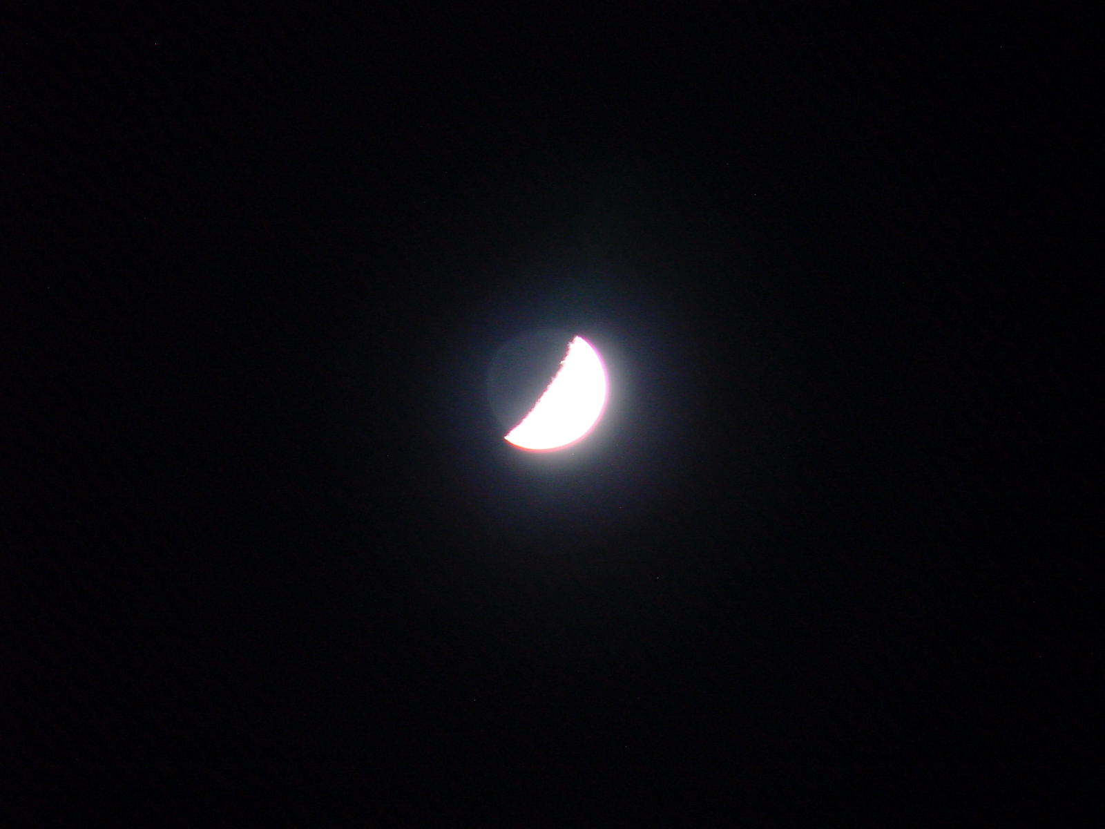 DSC00528.JPG