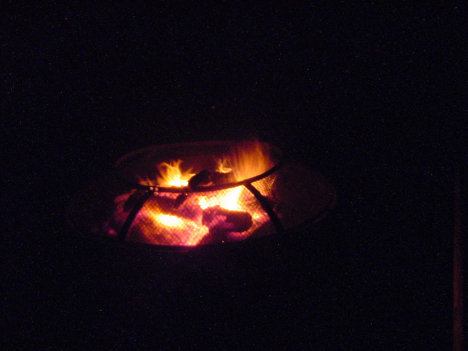 DSC00530.JPG
