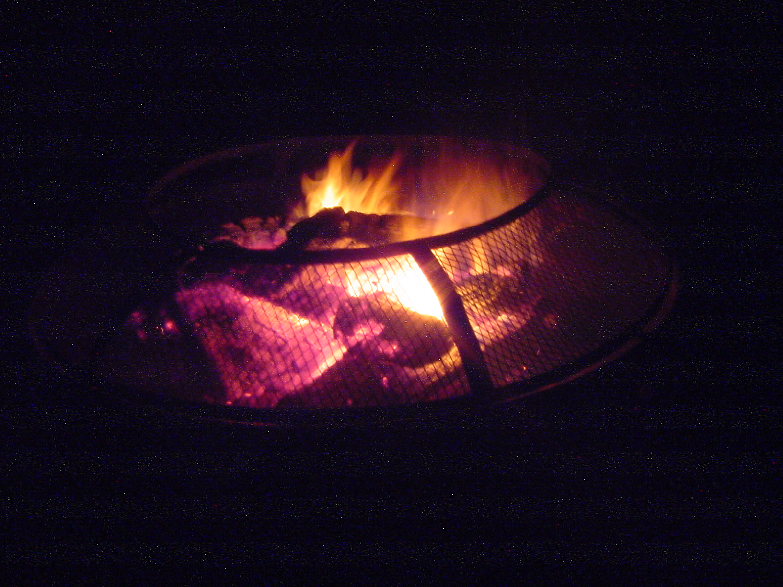 DSC00531.JPG