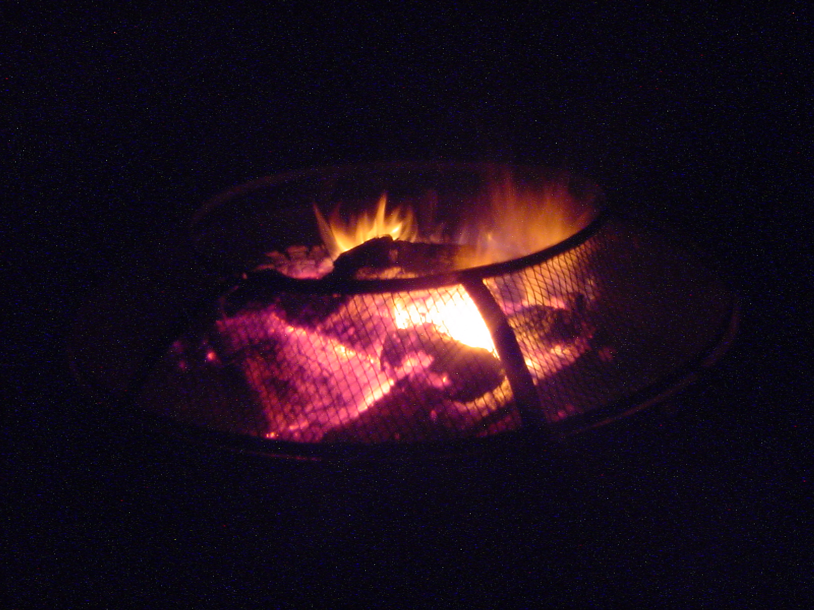 DSC00532.JPG