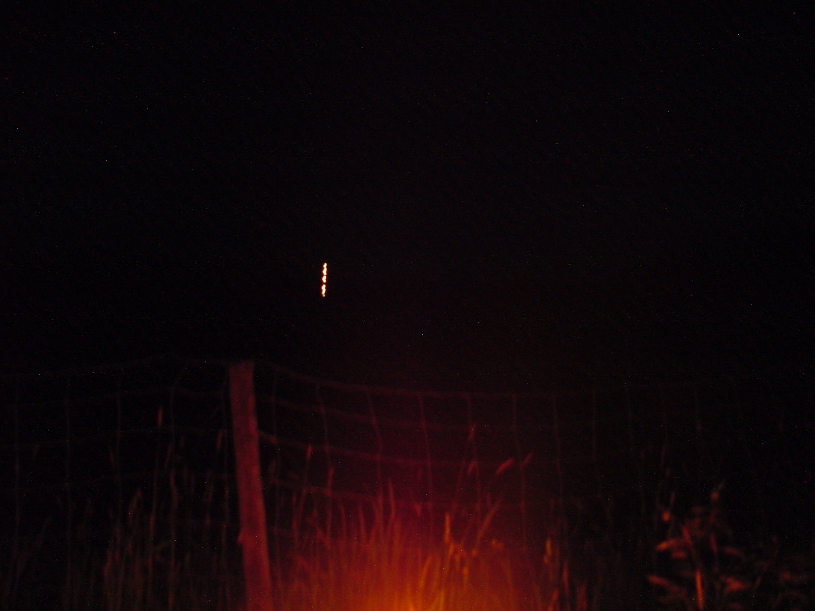 DSC00539.JPG