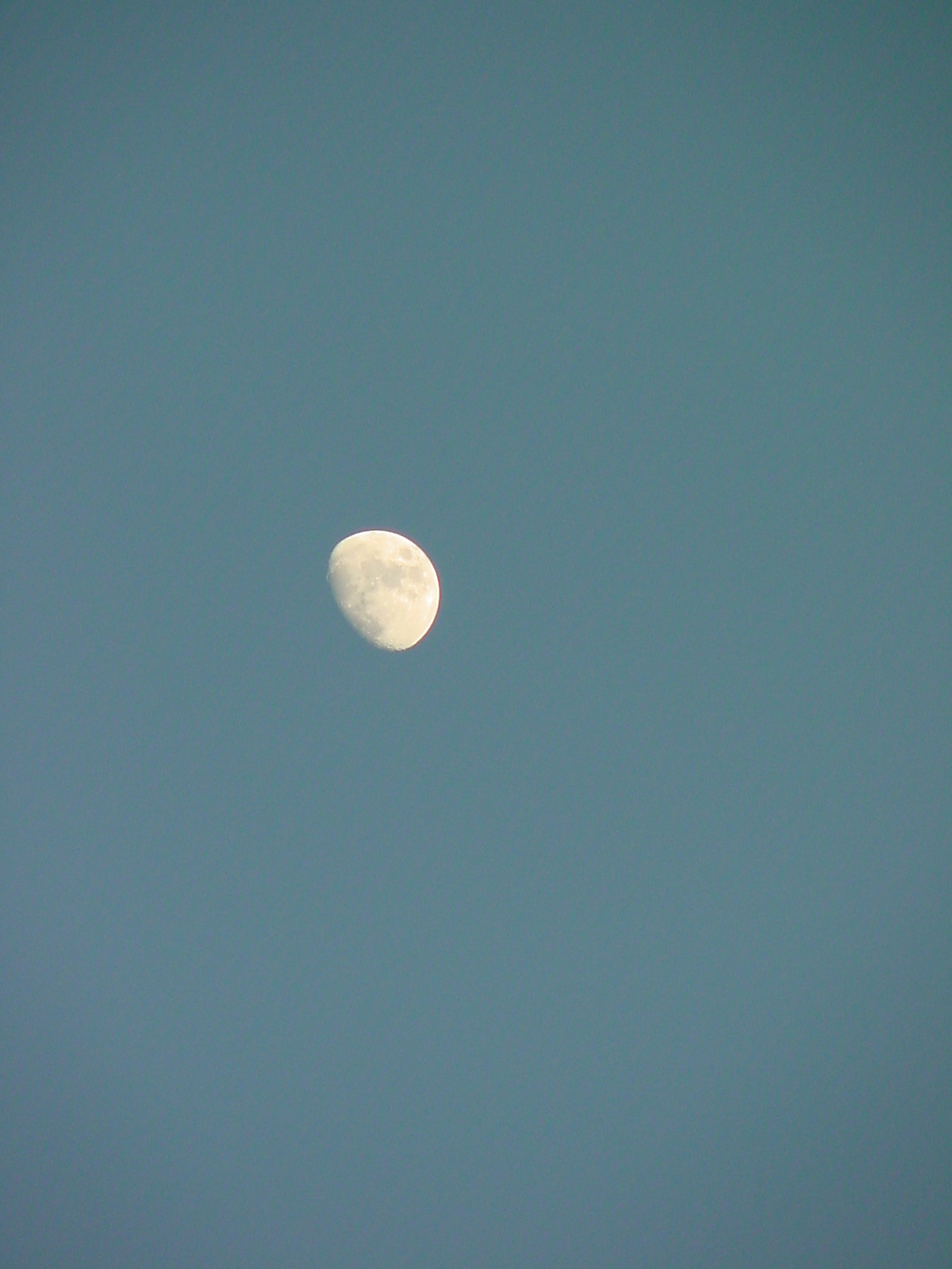 DSC00552.JPG