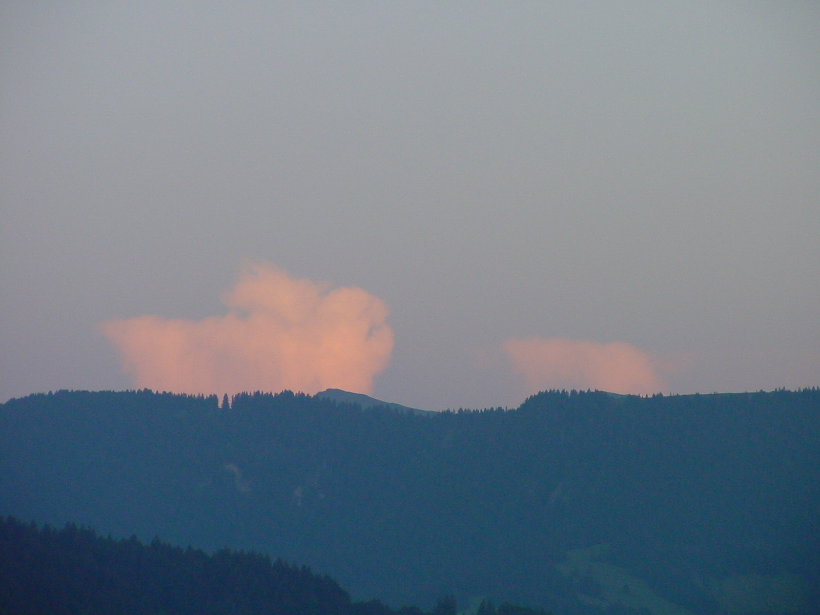 DSC00554.JPG
