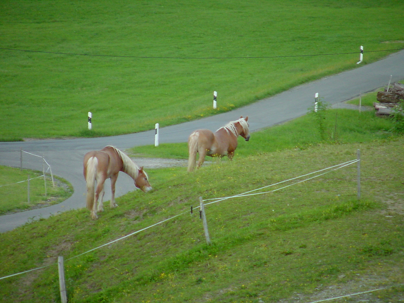 DSC00559.JPG