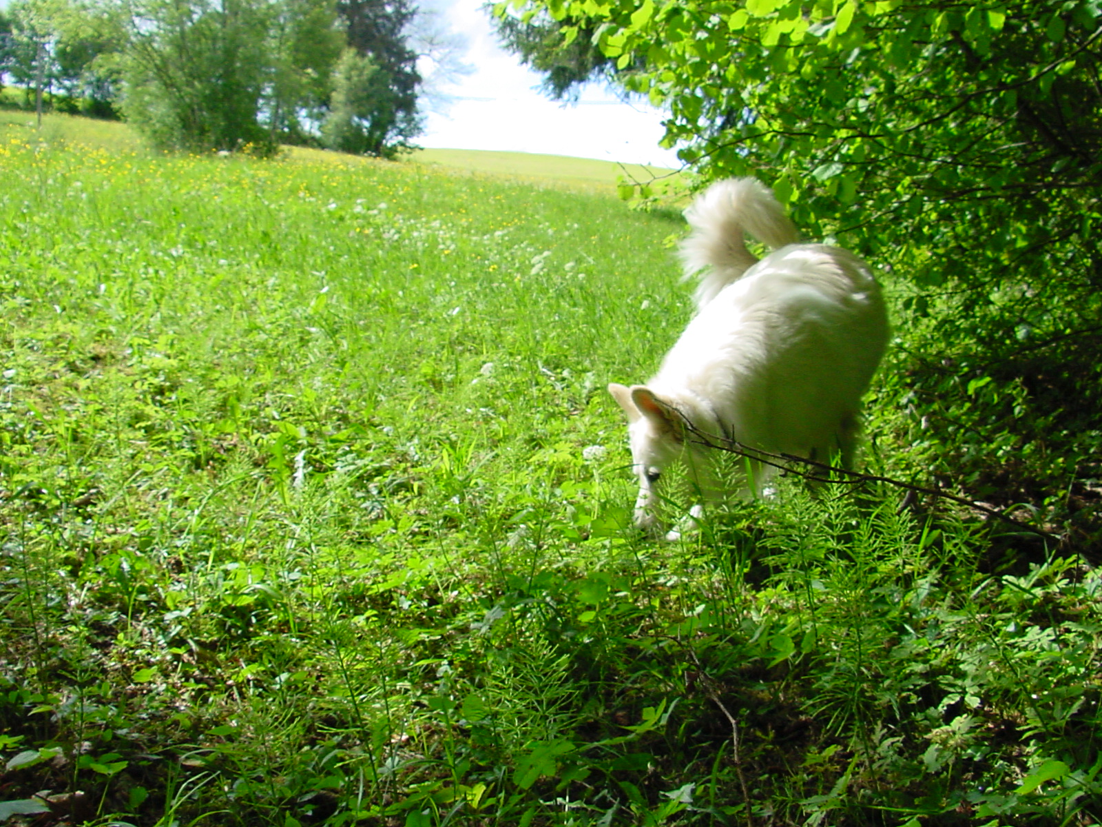 DSC00473.JPG