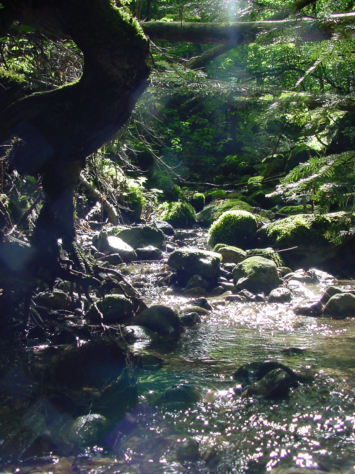 DSC00496.JPG