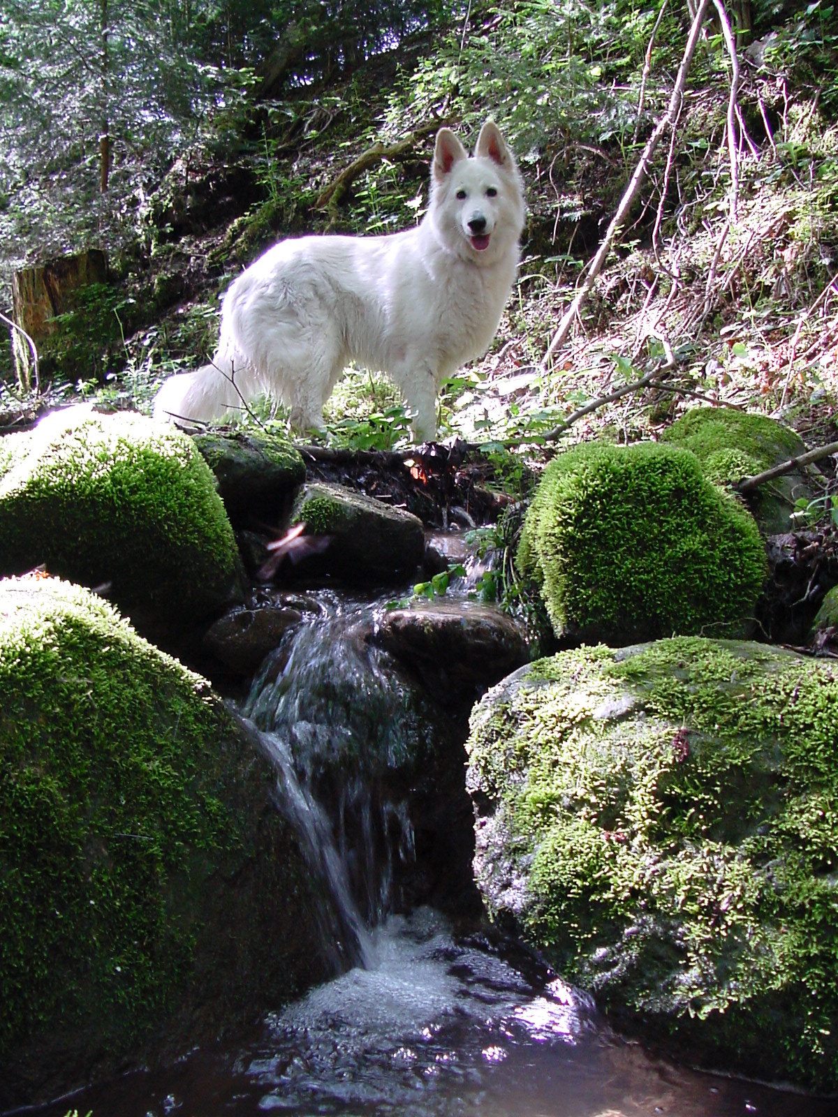 DSC00507.JPG