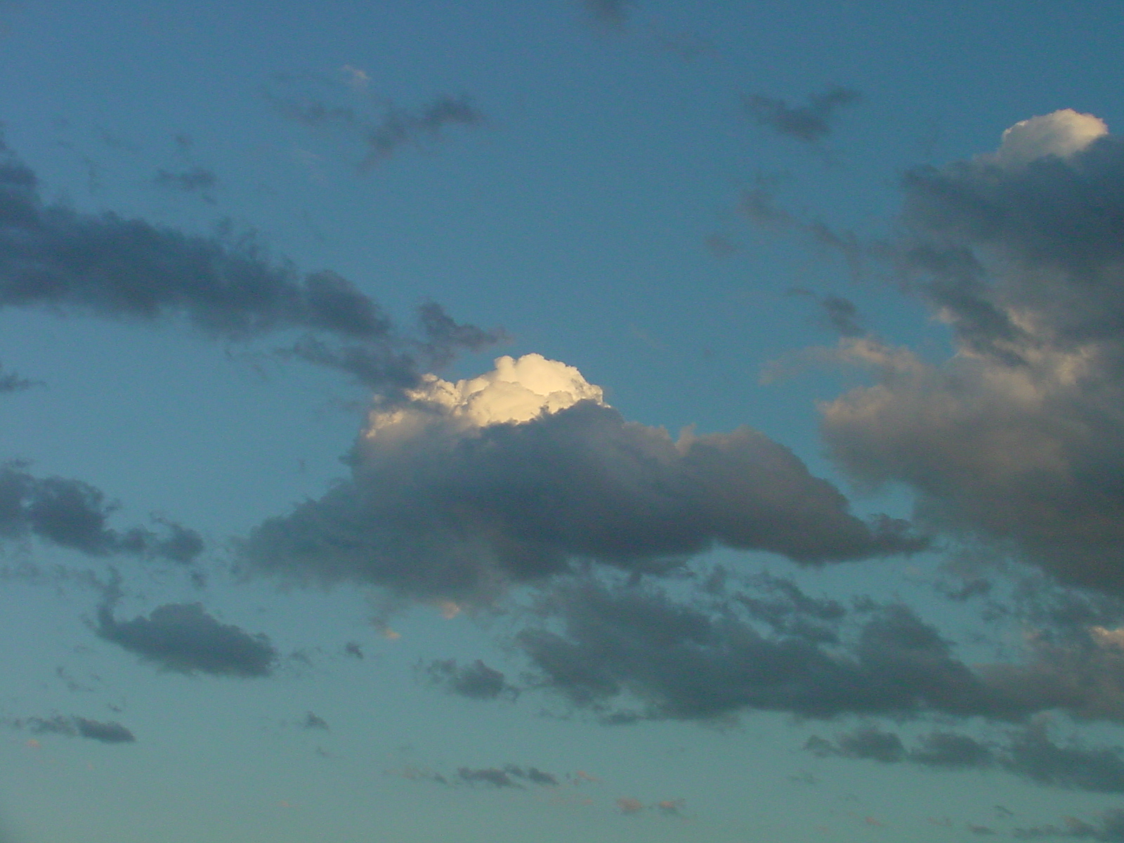 DSC00675.JPG