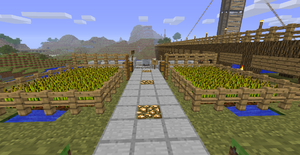 Station_SNP