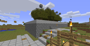 Tree farm